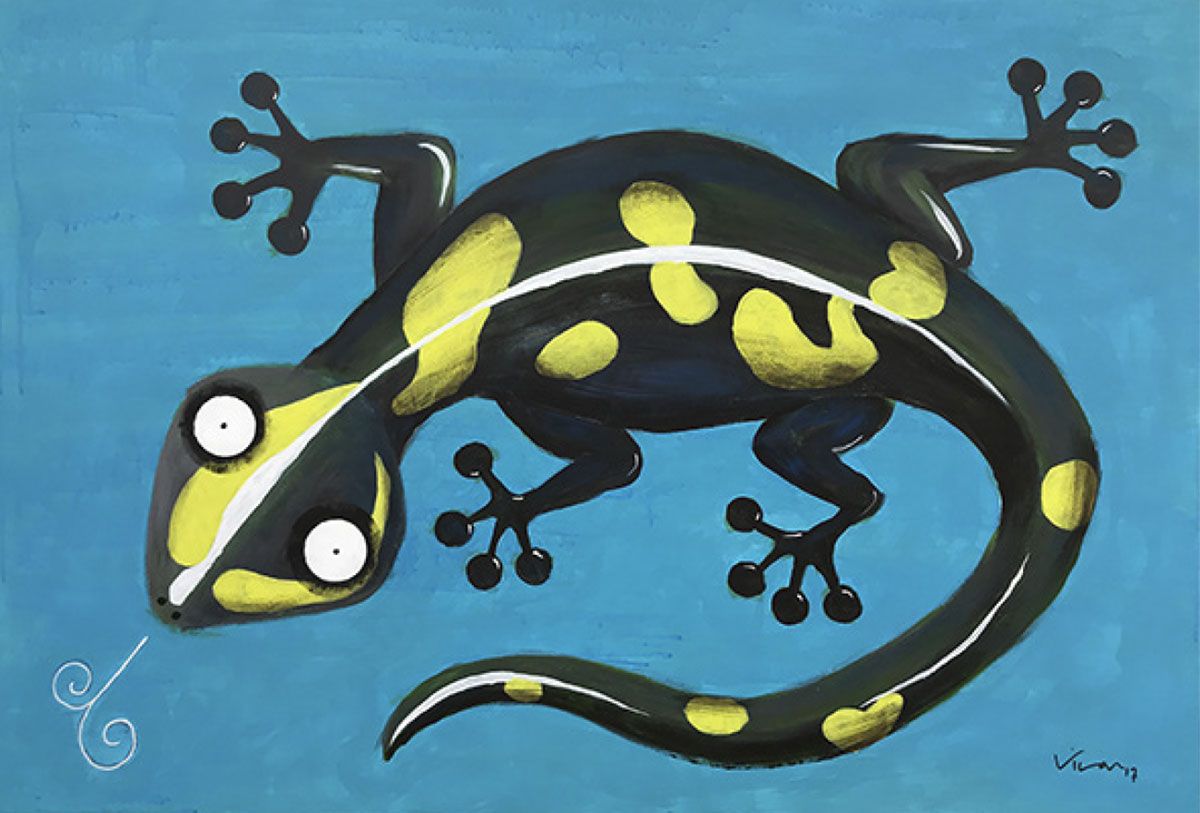 vilar 15 salamandra