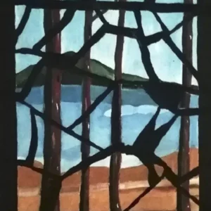 pantano-violeta-betolaza